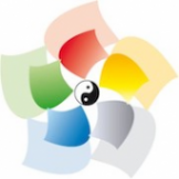 Логотип компании Пять Элементов